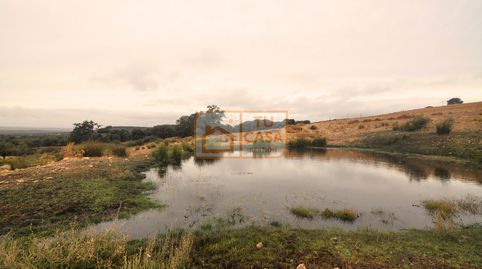 Venta de magnífica finca rústica de 180 hectáreas en Deleitosa, (Cáceres).