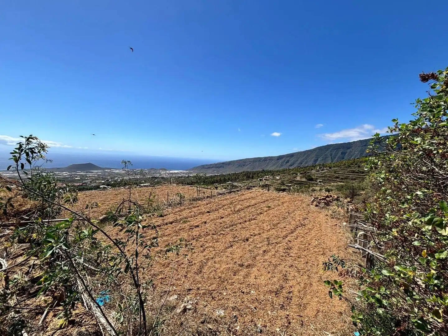 Rustikales Grundstück zum Verkauf in Polígono 1 Parcela 509 LAS CUESTAS. ARAFO (S.C. T 1, imagen 4