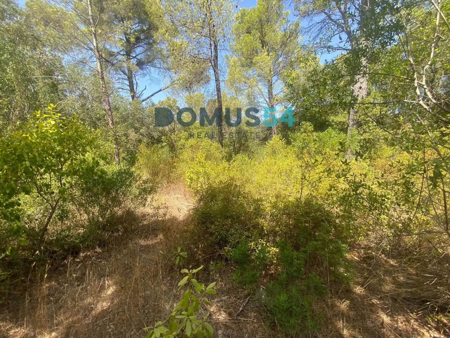 Grundstücke zum Verkauf in Alcúdia