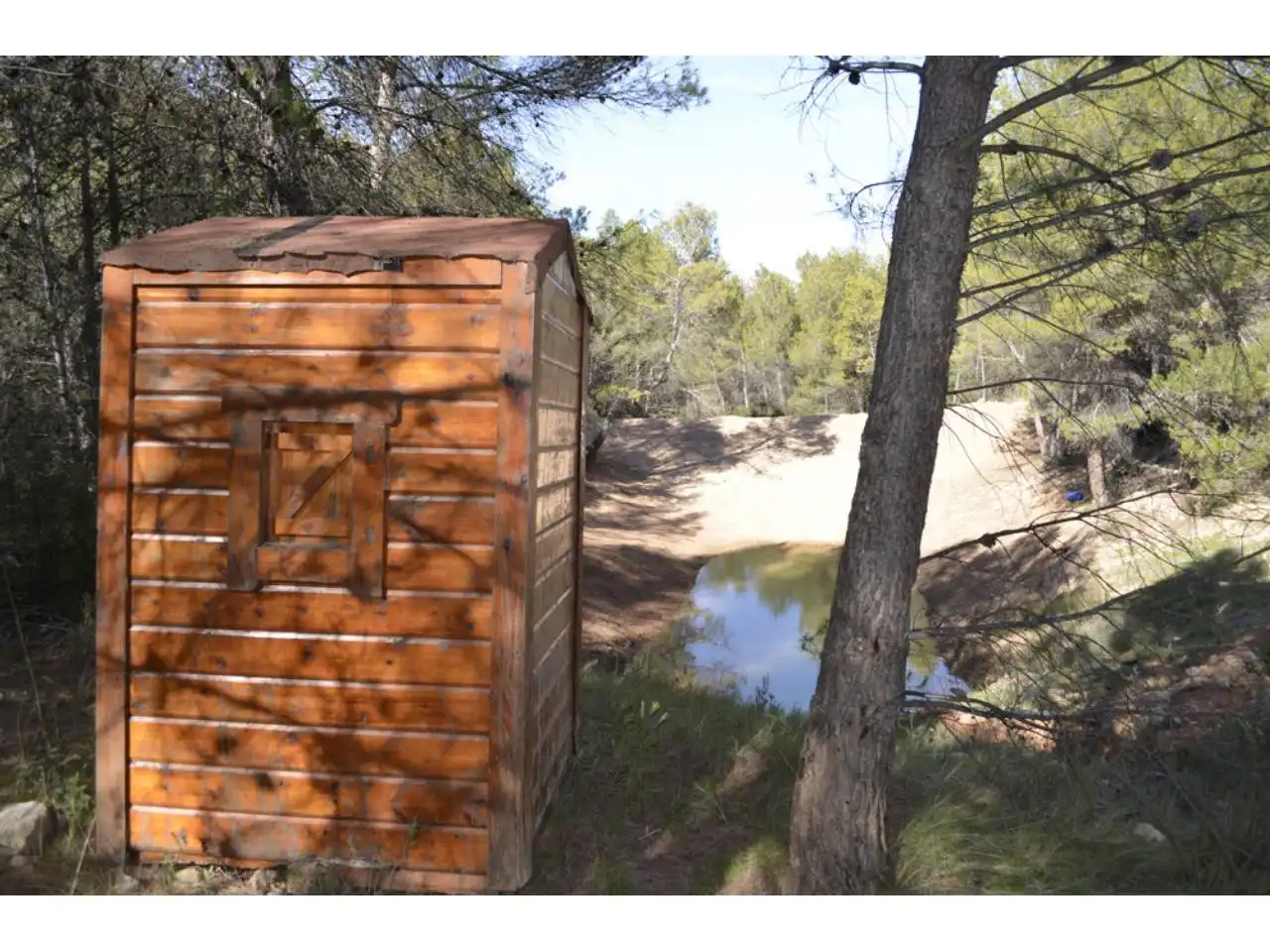 Lands and plots for sale in Pasaje Rincones y Sierra Espuña, imagen 16