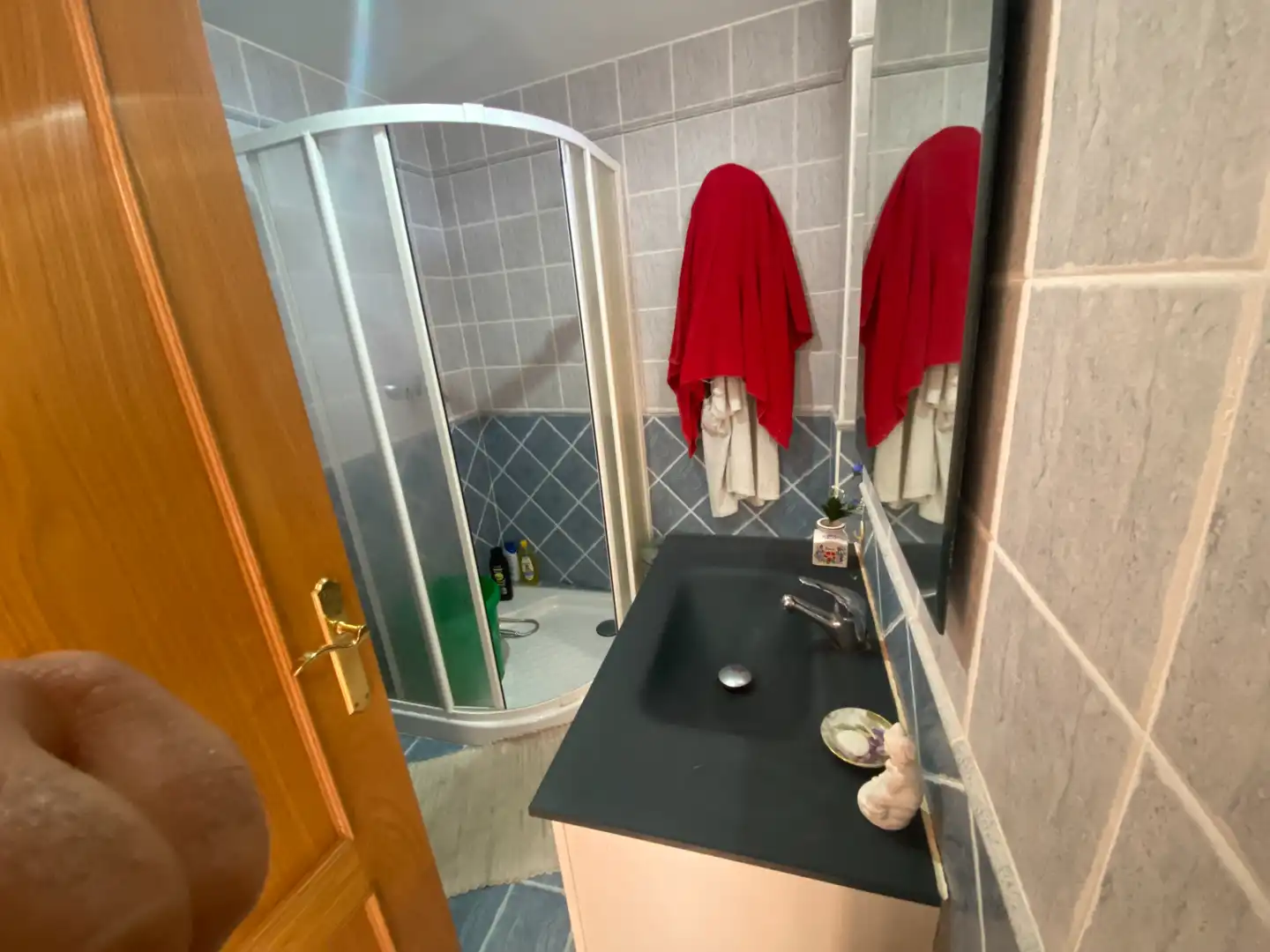 Badezimmer von Haus oder Chalet zum Verkauf in Vera de Moncayo mit Klimaanlage, Heizung und Privatgarten
