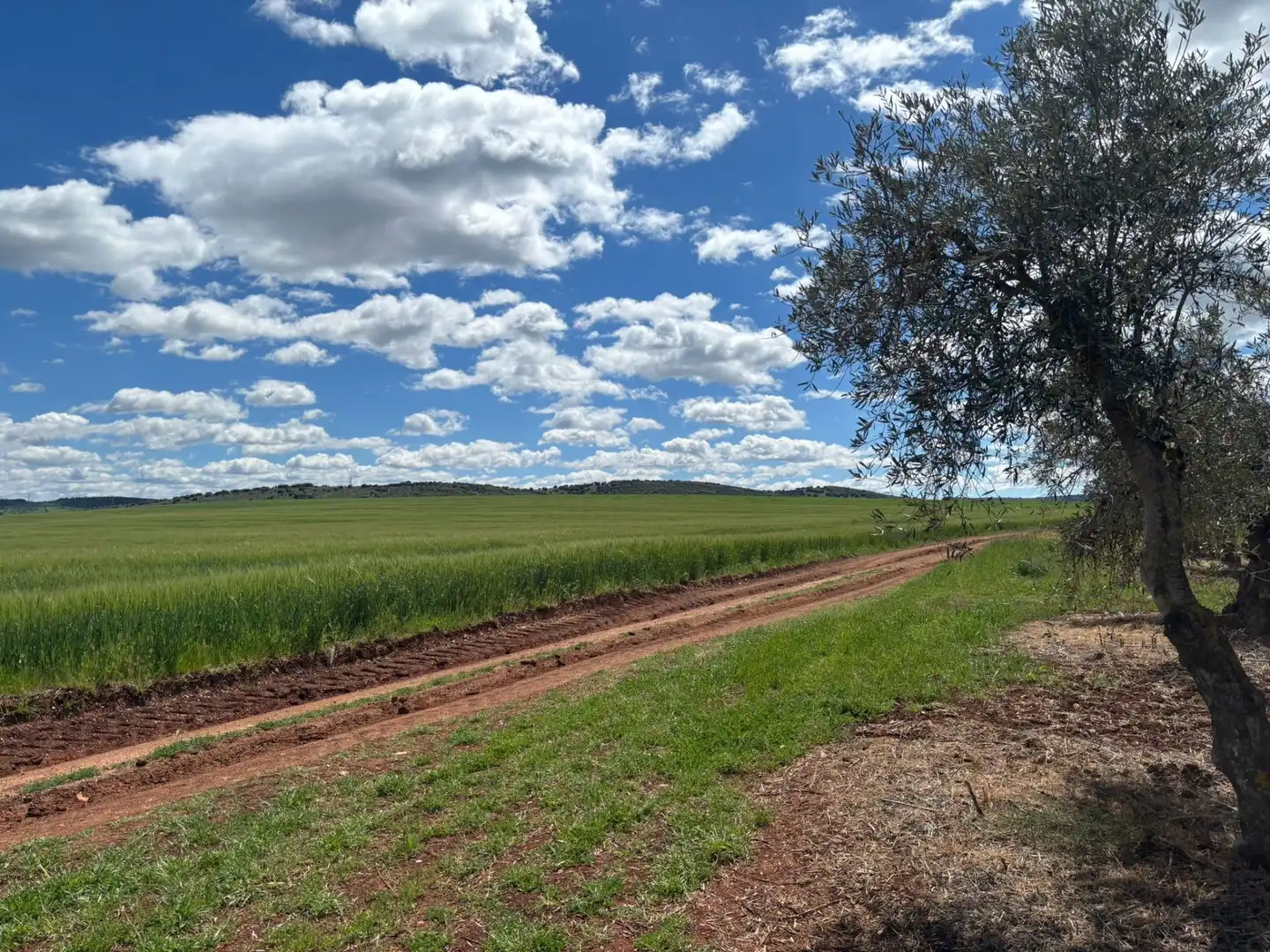 Residential for sale in Ciudad Real