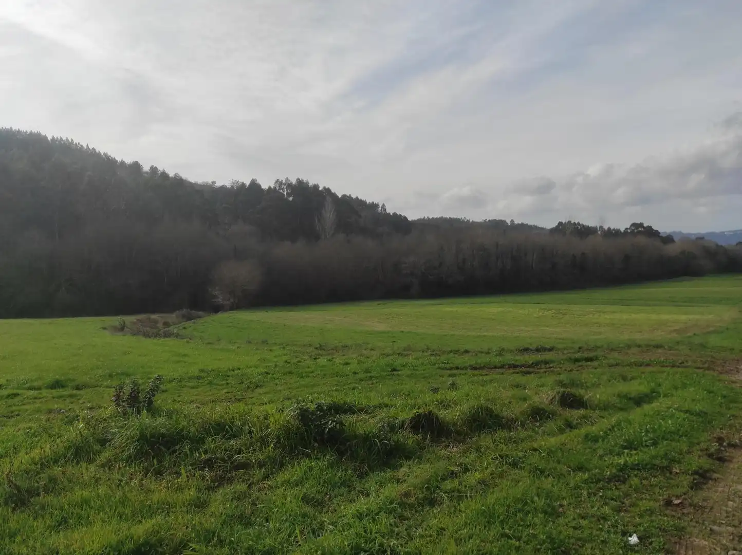 Terreni e lotti in vendita a Lugar PINAR DE ABAIXO., imagen 6