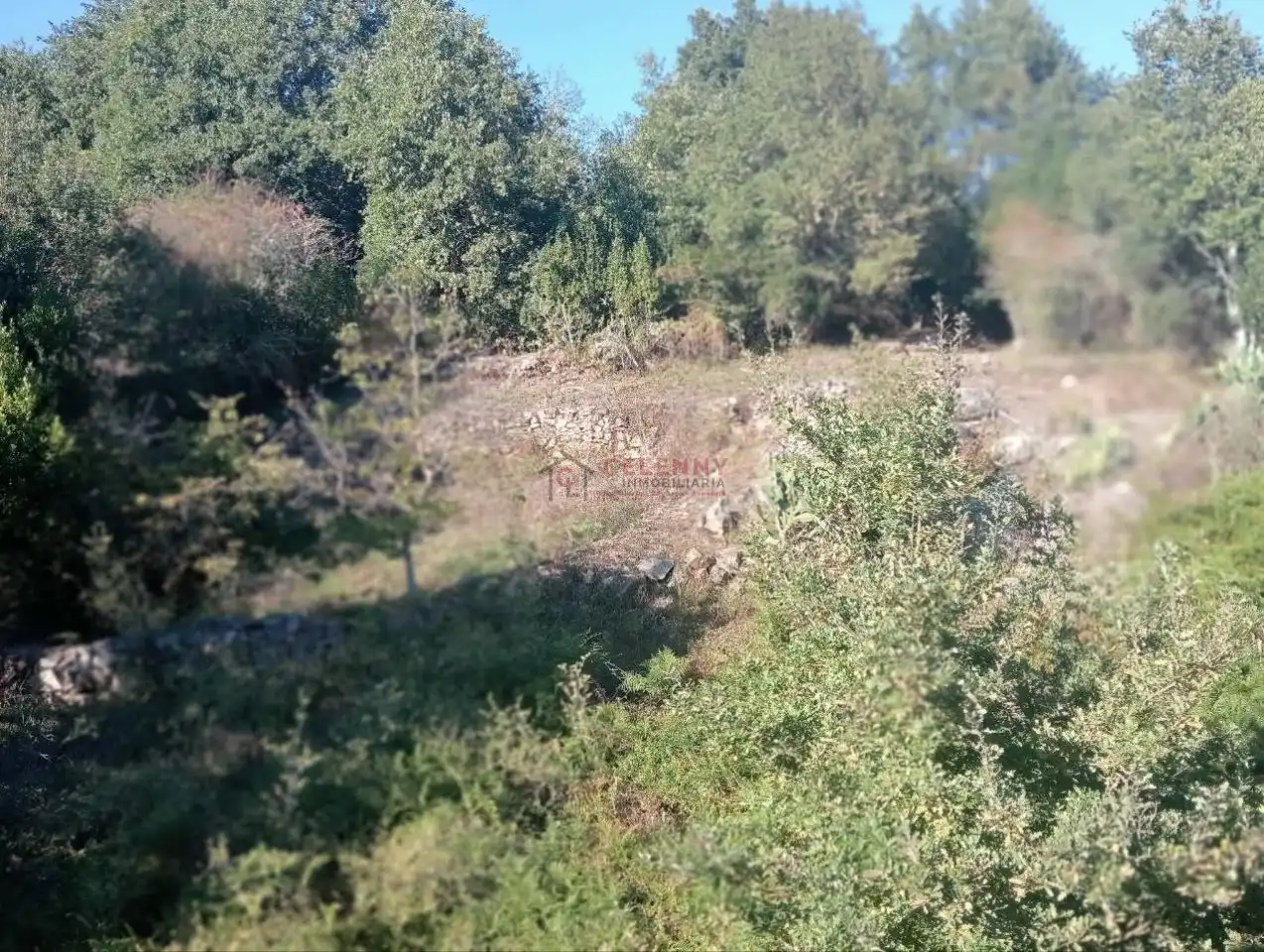Country house with garden for sale in San Rosendo, imagen 10
