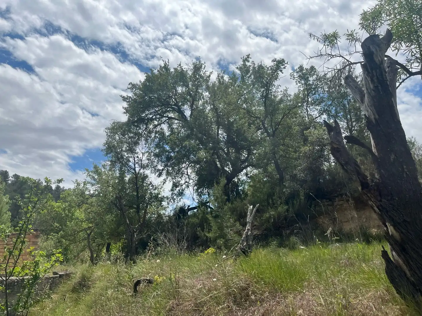 Terreno en venta en Cretas