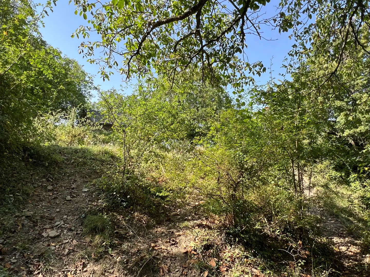 Land for sale in Broto