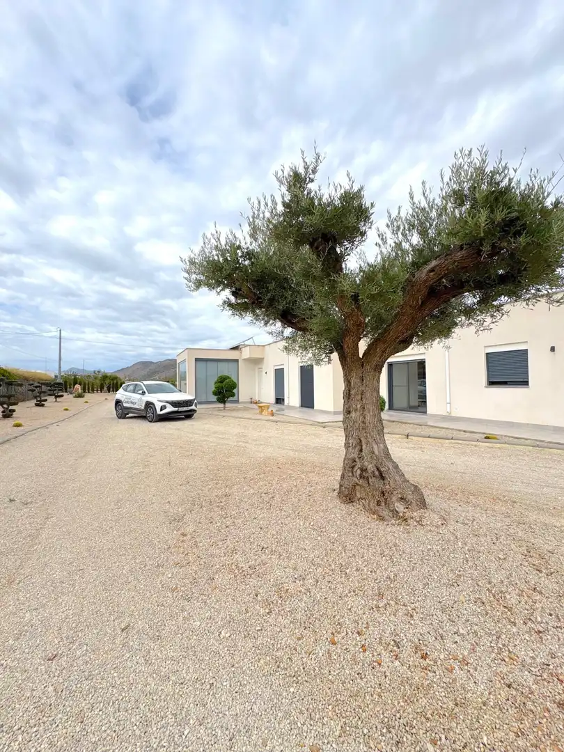 Villa avec piscine à vendre à El Altico, imagen 43