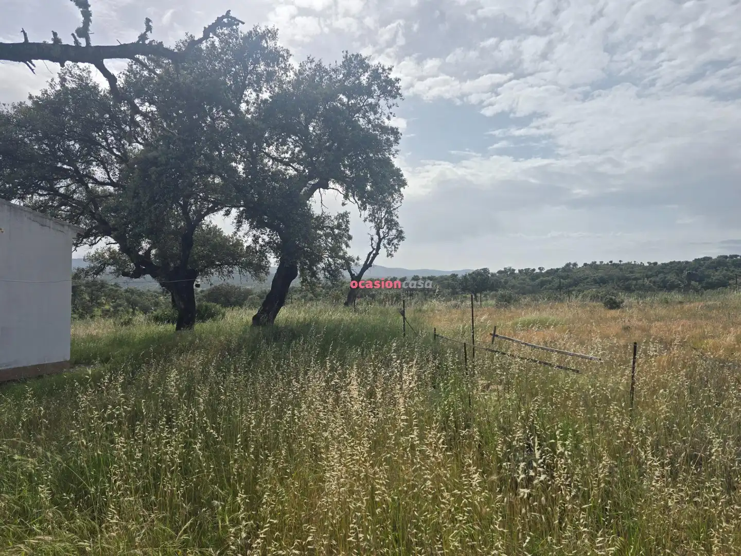 Casa o xalet en venda en Alcaracejos