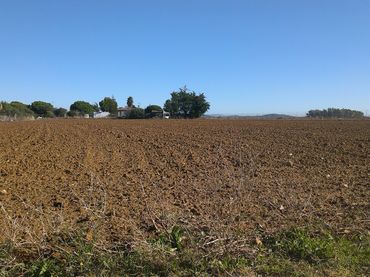 Terreno rustico in vendita a Carretera de Medina