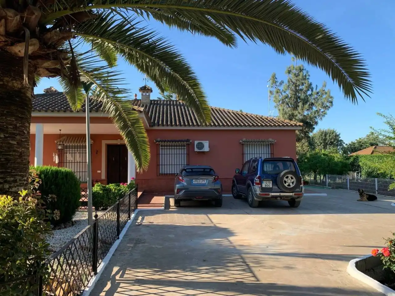 Vista exterior de Casa o chalet en venta en Carmona con Aire acondicionado, Jardín privado y Terraza