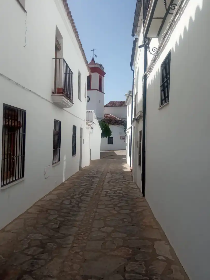 Vista exterior de Dúplex en venta en Benaocaz con Amueblado