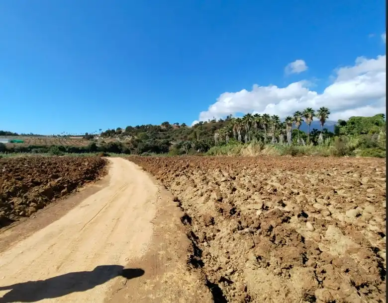 Grundstücke zum Verkauf in Estepona
