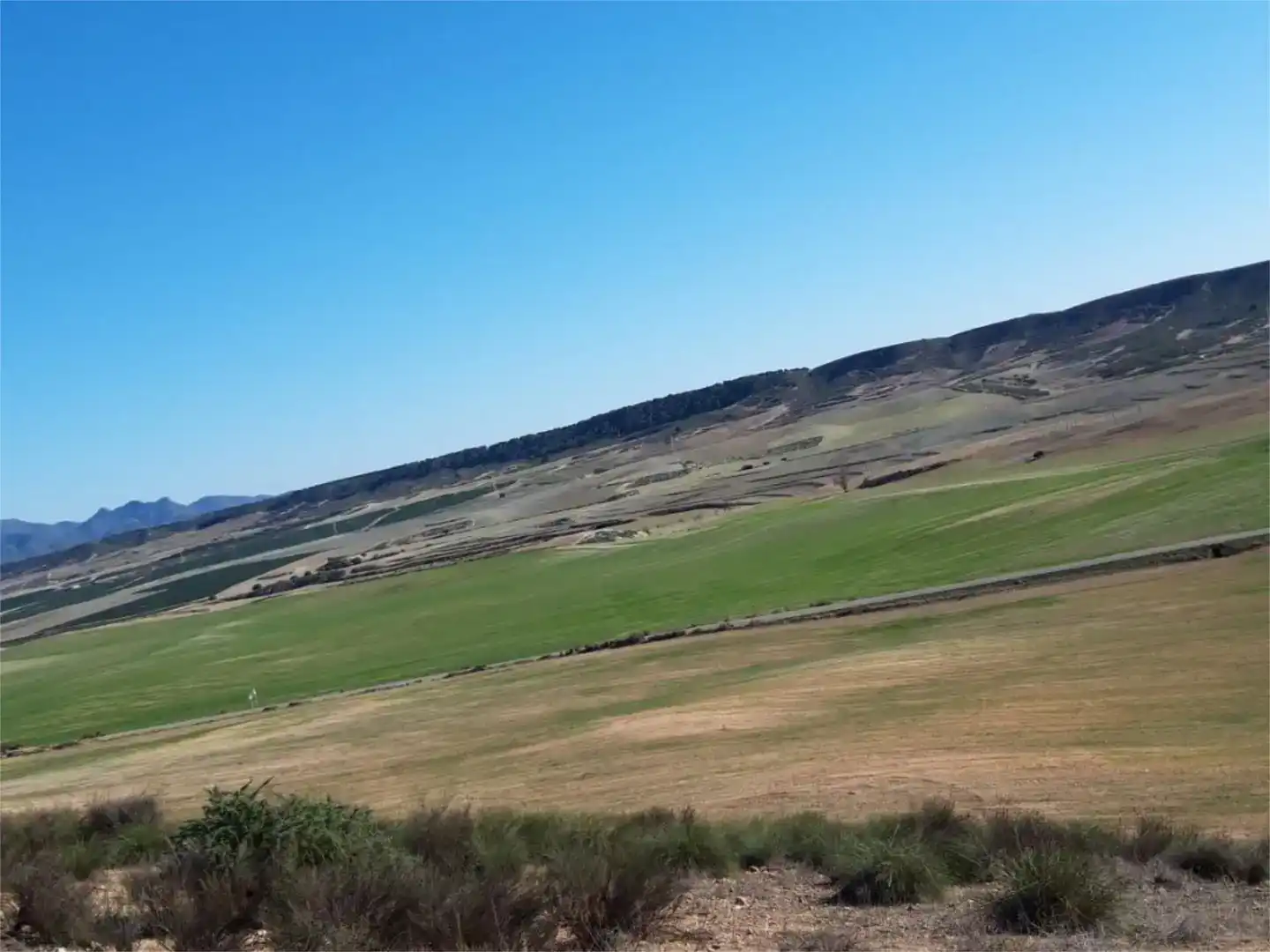 Finca rústica en venda en Totana