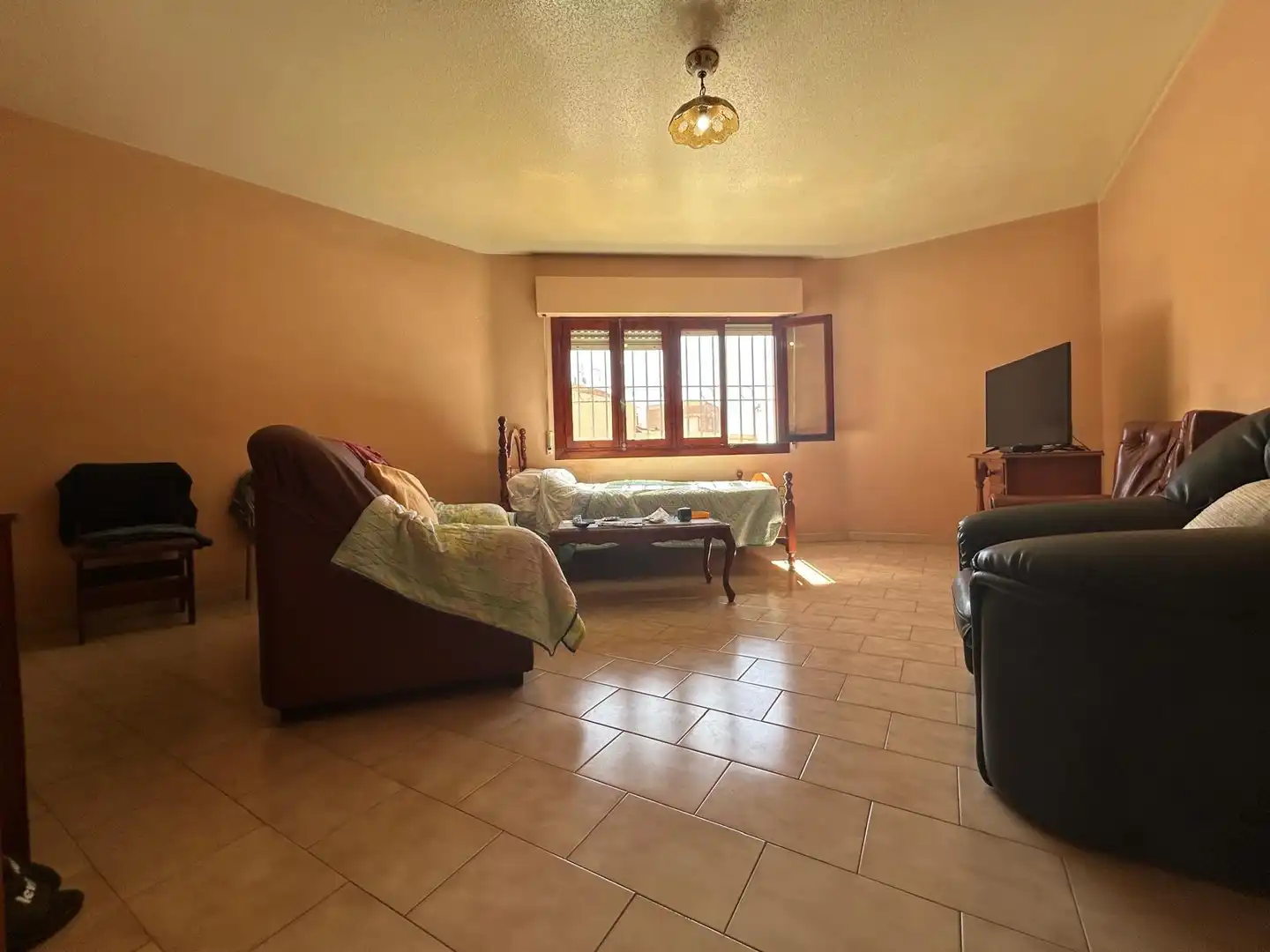 Sala d'estar de Casa o xalet en venda en Adra