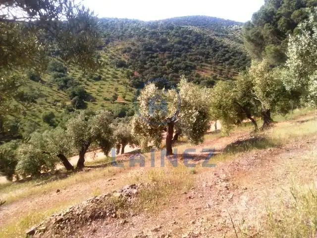Residential land for sale in Espiel, imagen 7