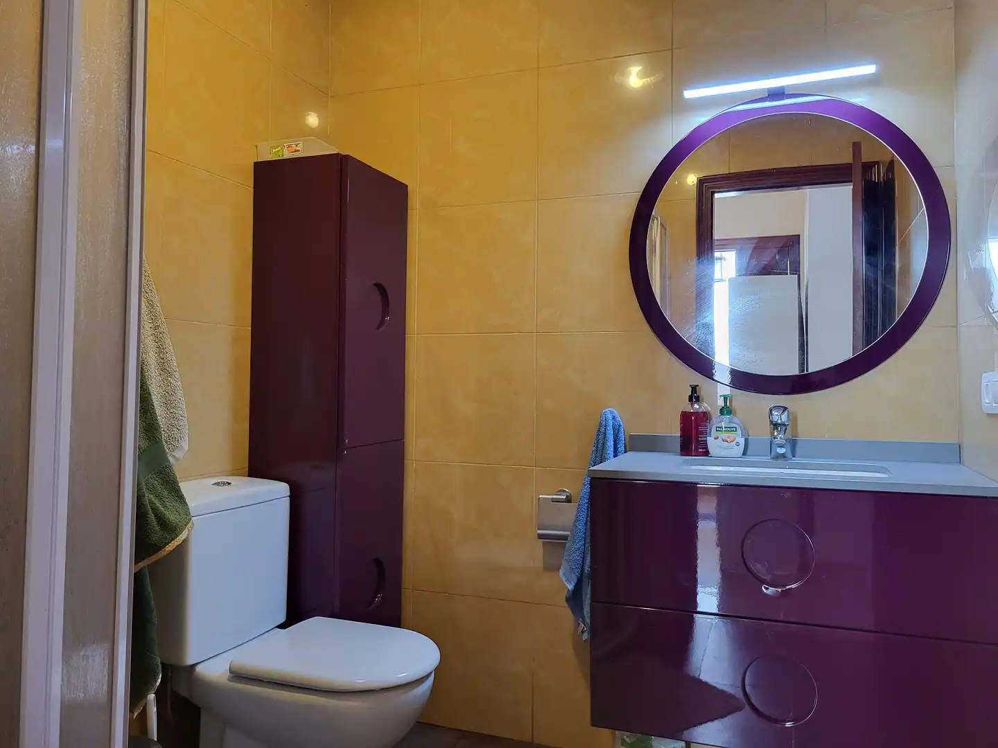House with terrace for sale in Zona Botánico, imagen 20