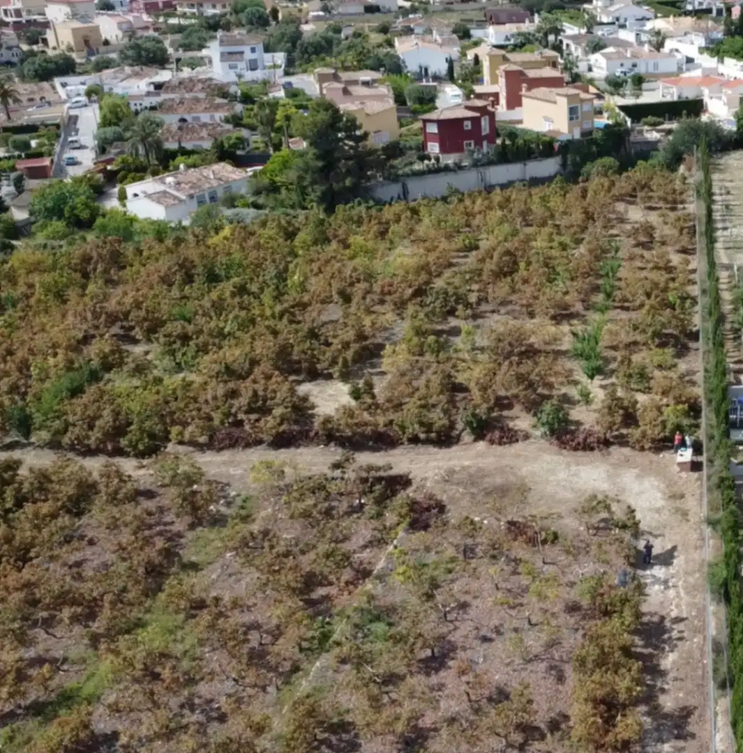 Terrain résidentiel à vendre à Casco urbano, imagen 3