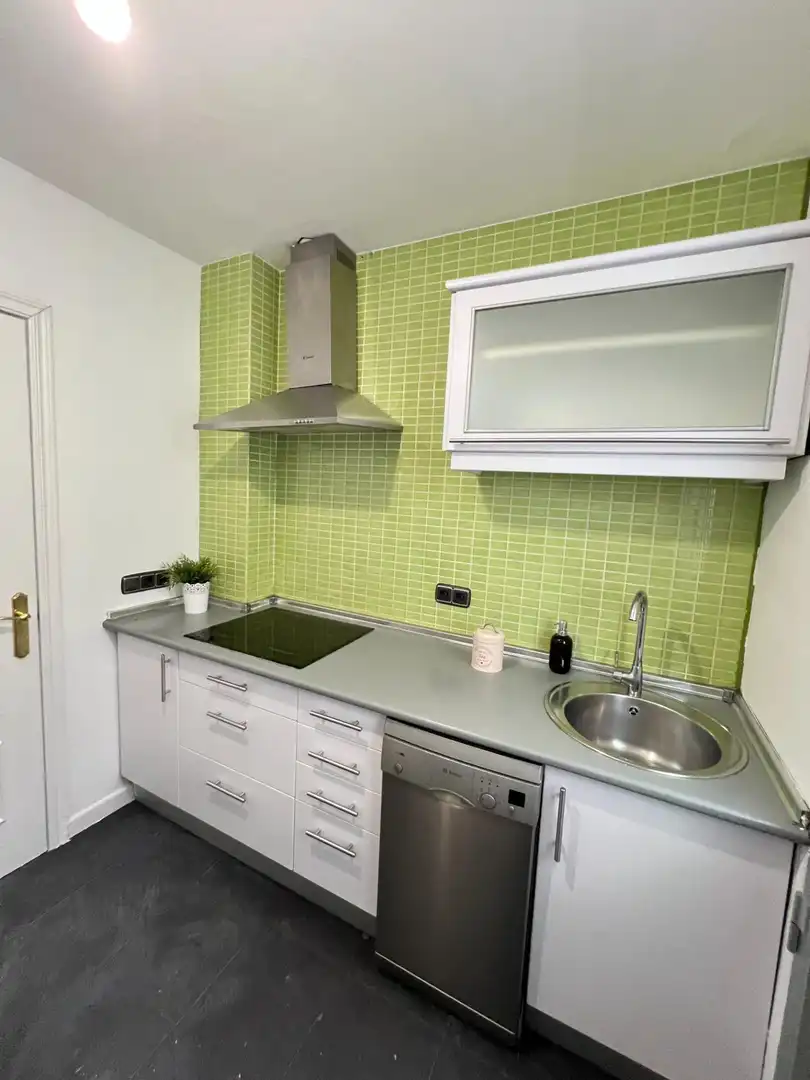 Cuina de Apartament de lloguer en Madrid amb Aire condicionat i Calefacció