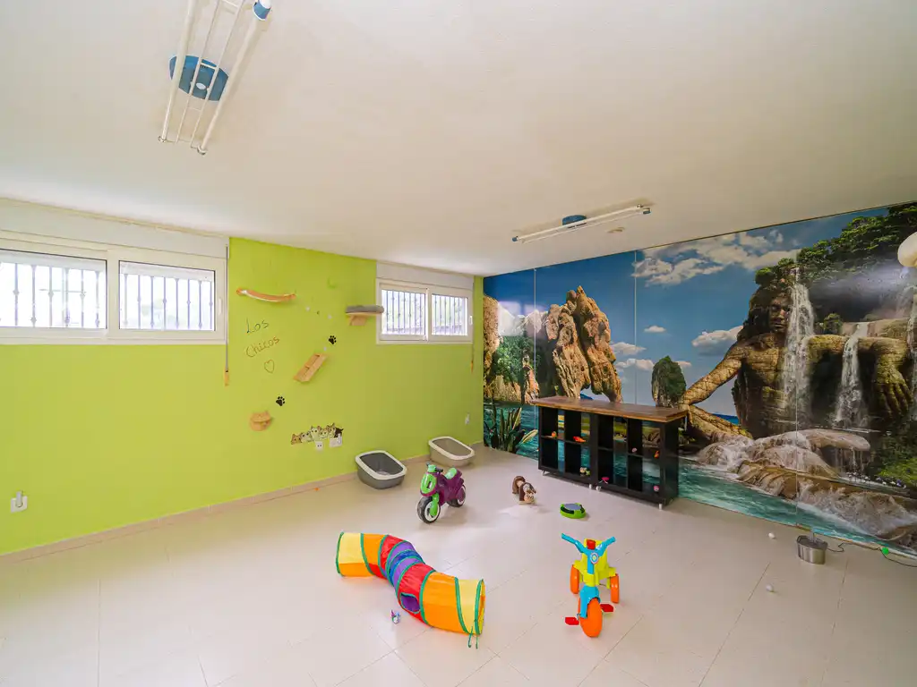 House with pool for sale in Coloma, imagen 21