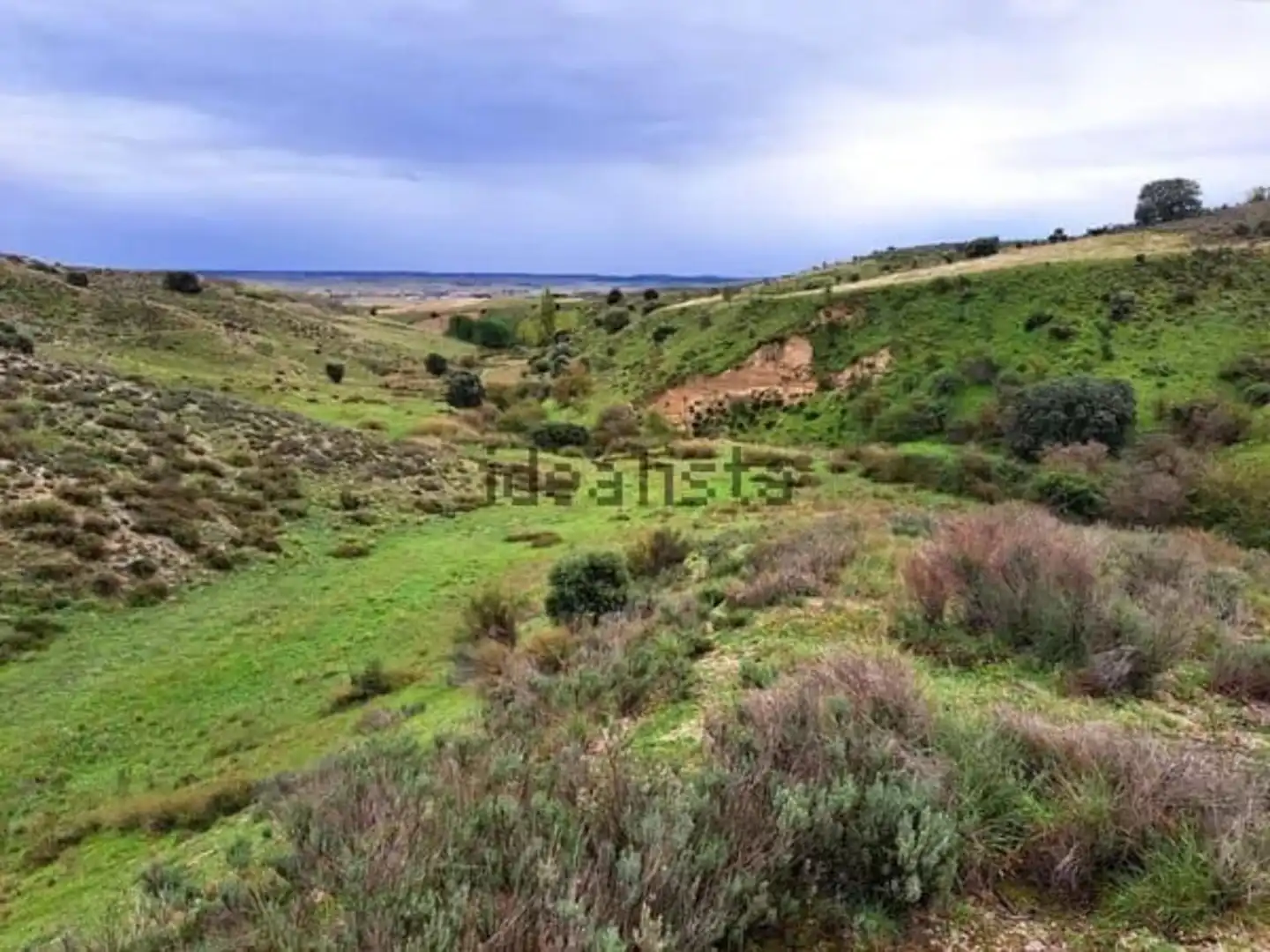 Terreny rústic en venda a Polígono Pol 8 Parcela 183 183, imagen 3