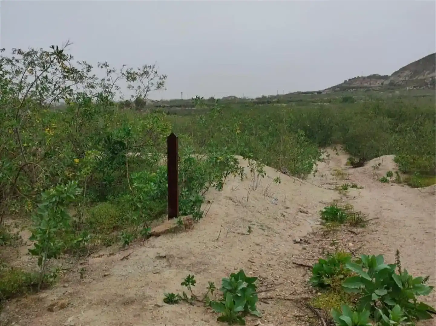 Finca rústica en venda en Ceutí