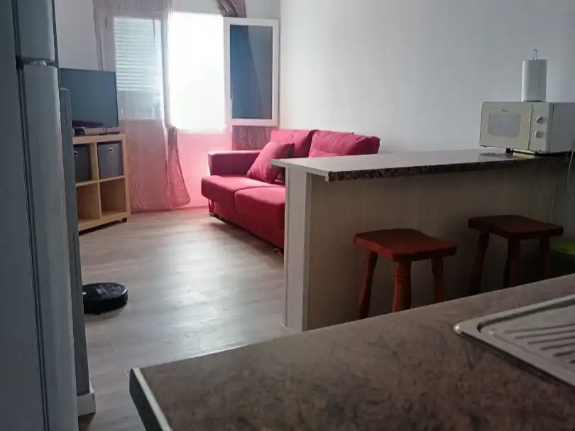 Living room of Flat for rent in Arico  with Furnished, Washing machine and Microwave