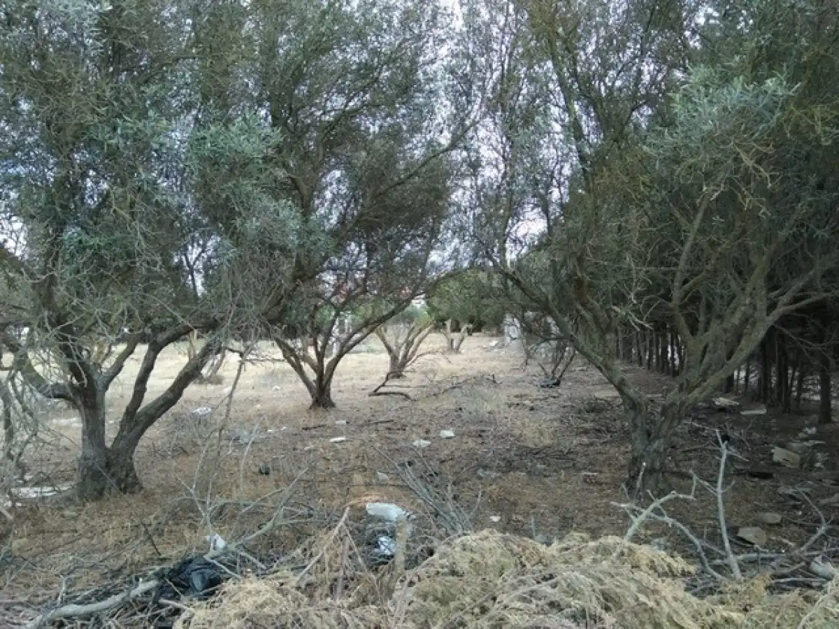 Terrenys i solars en venda a Las Canteras, imagen 5