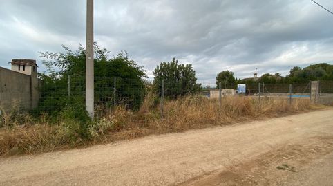 Foto 3 de Terreno en venta en N/a, -1, Pedralba, Valencia