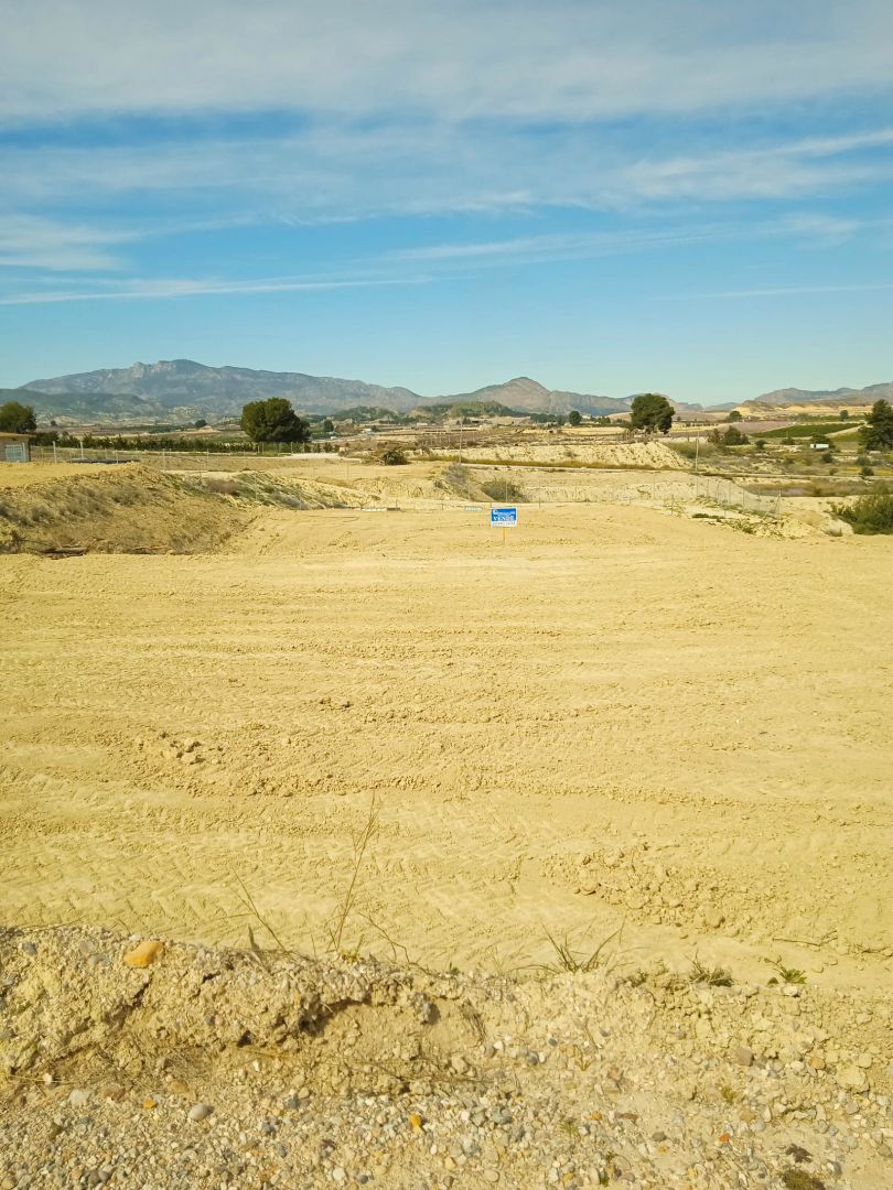 Land for sale in Alguazas