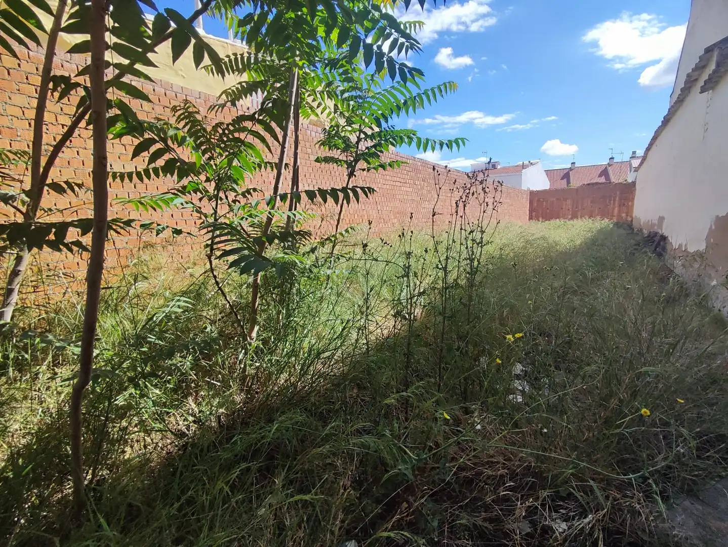 Terreny residencial en venda a Calle de Santa Catalina, imagen 34