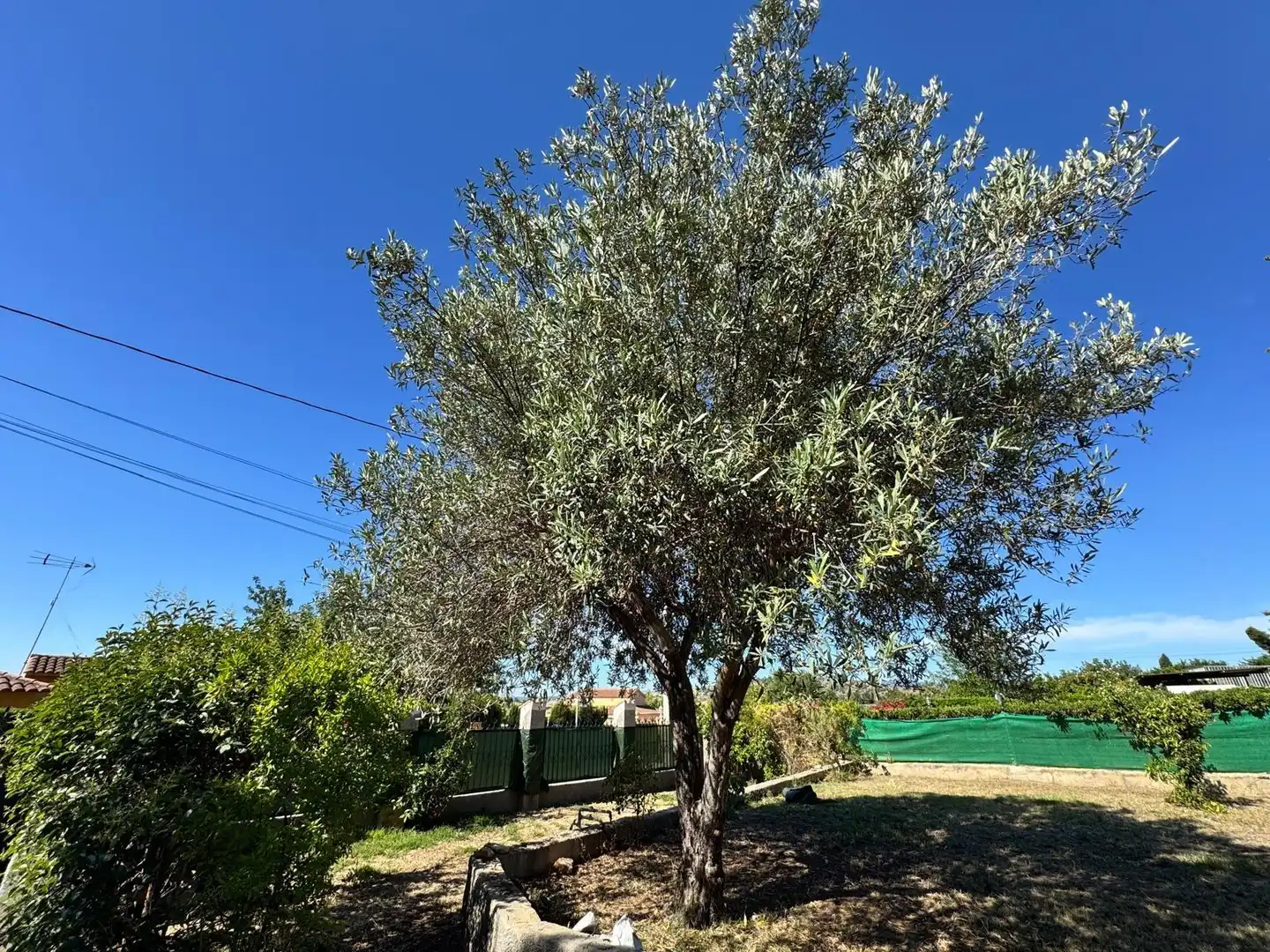 Casa o xalet en venda en Llíria
