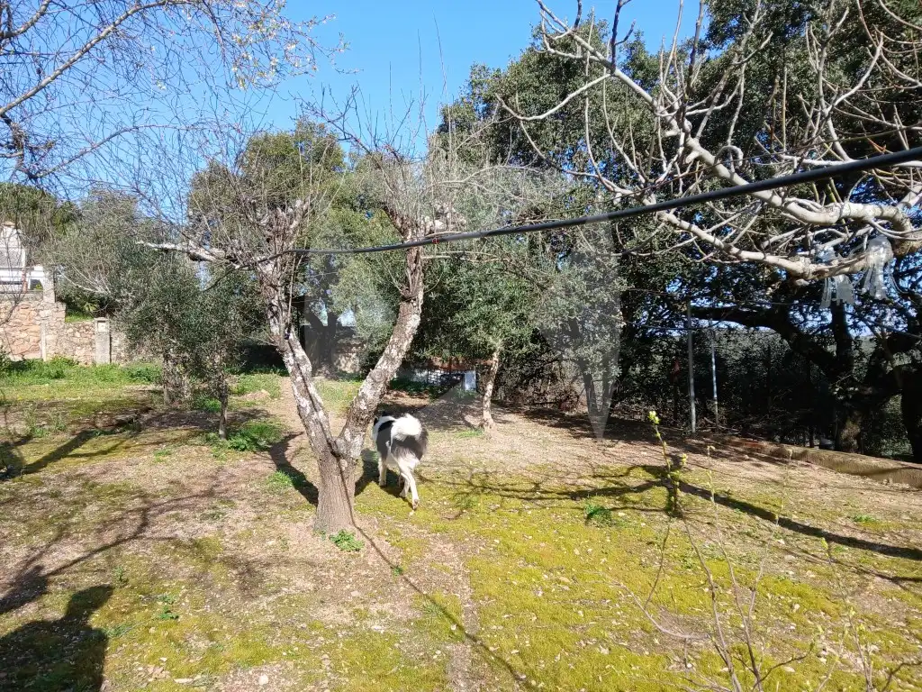 Jardí de Casa o xalet en venda en Cáceres amb Aire condicionat, Terrassa i Piscina