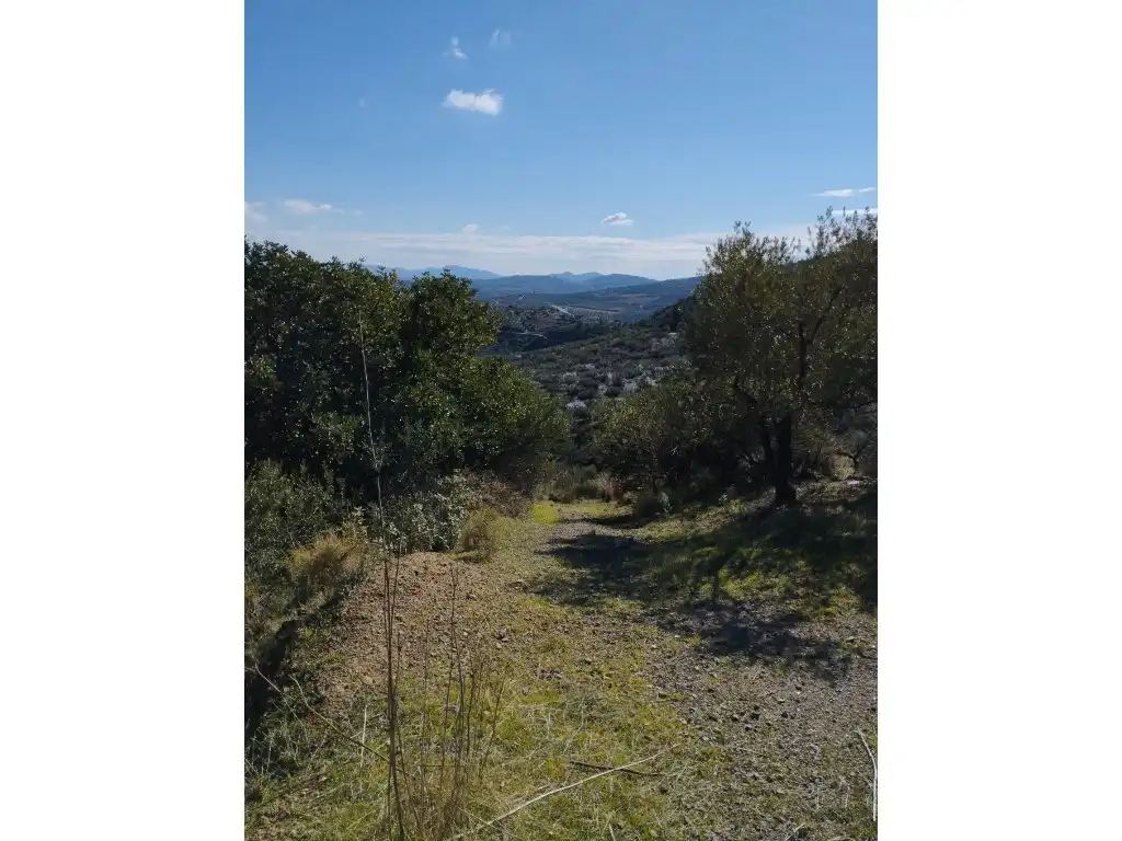 Casa o chalet en venta en Riogordo