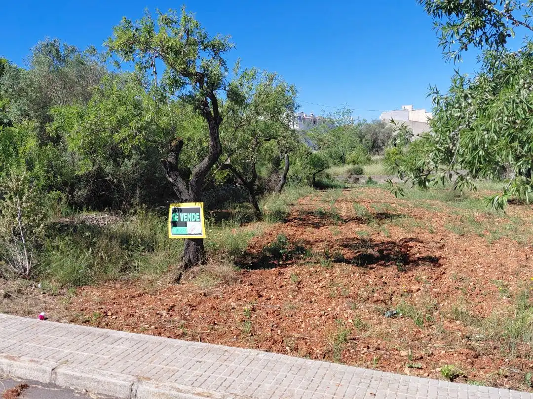 Terreno residencial en venta en san pedro 28, imagen 3