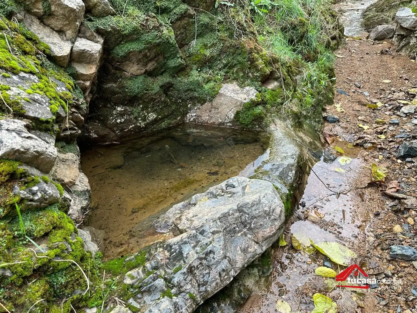 Terreno rustico in vendita a Villanueva del Rey, imagen 22