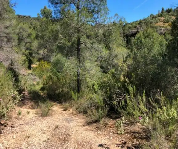 Rural land for sale in Pb Segrasos, imagen 8