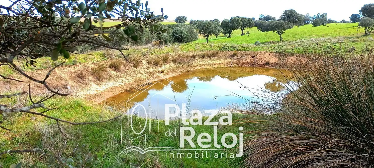Terreno rustico in vendita a CERVANTES 0, imagen 13