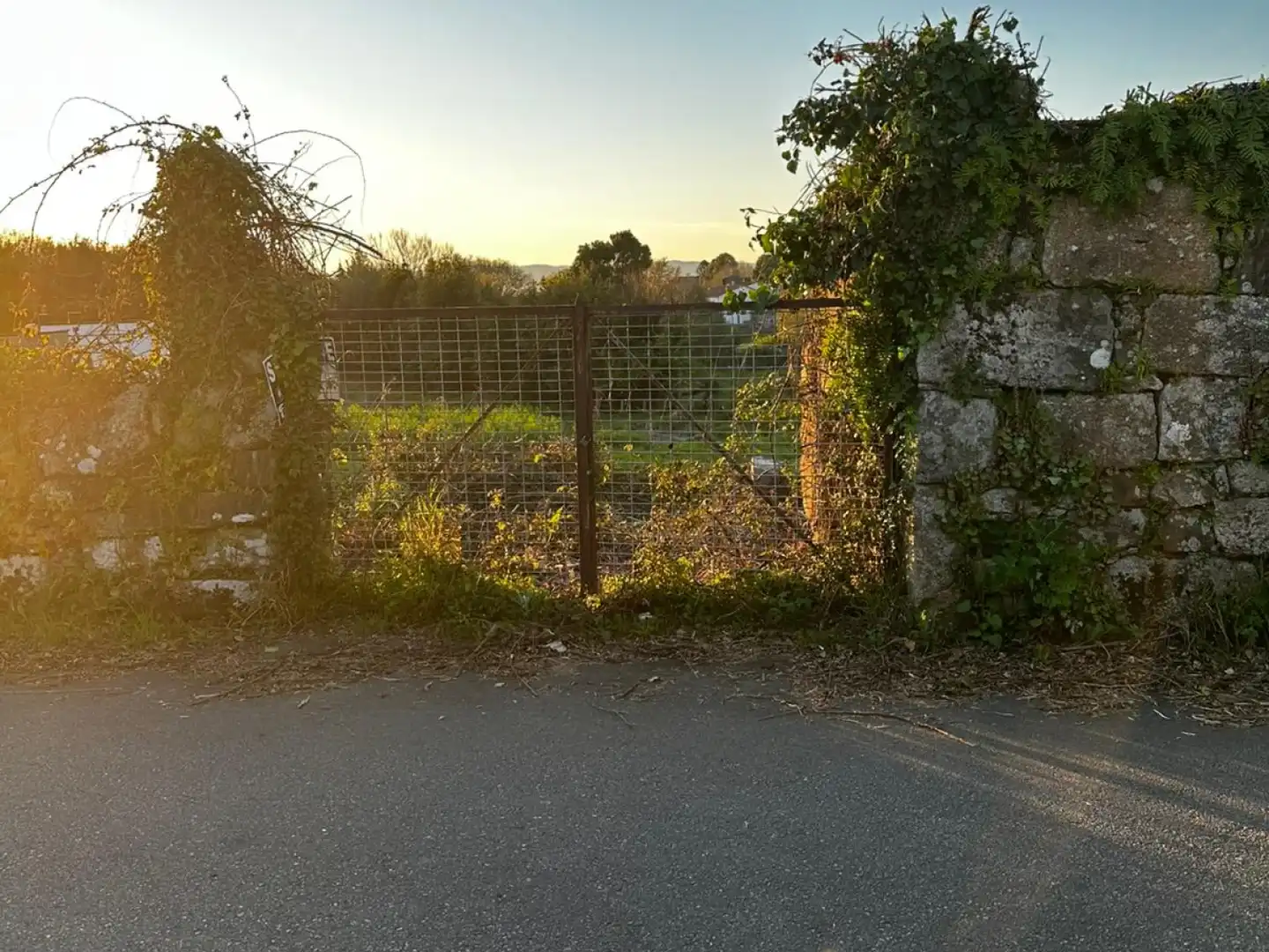 Lands and plots for sale in Cea