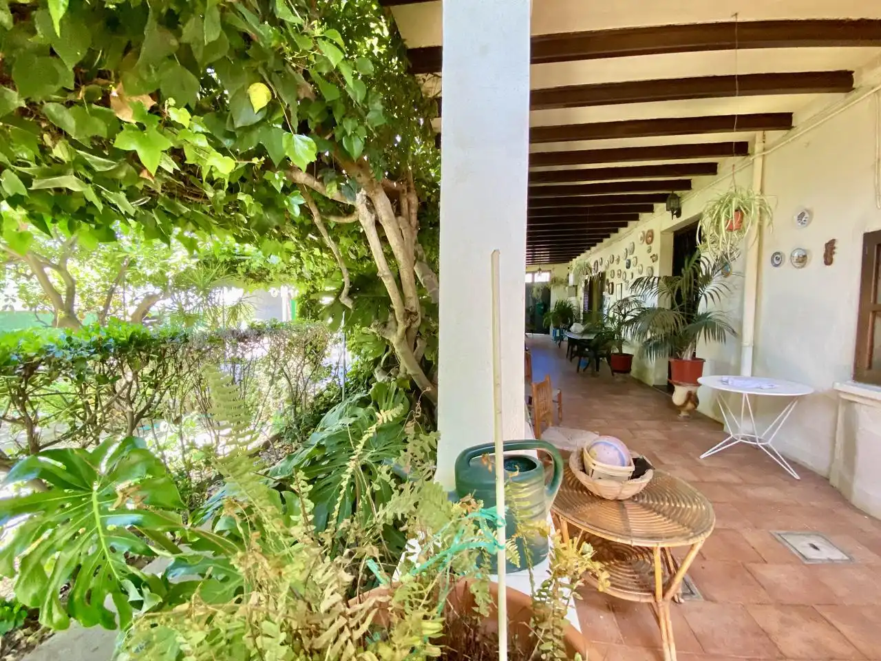 Terrasse von Haus oder Chalet zum Verkauf in  Palma de Mallorca mit Privatgarten, Terrasse und Abstellraum