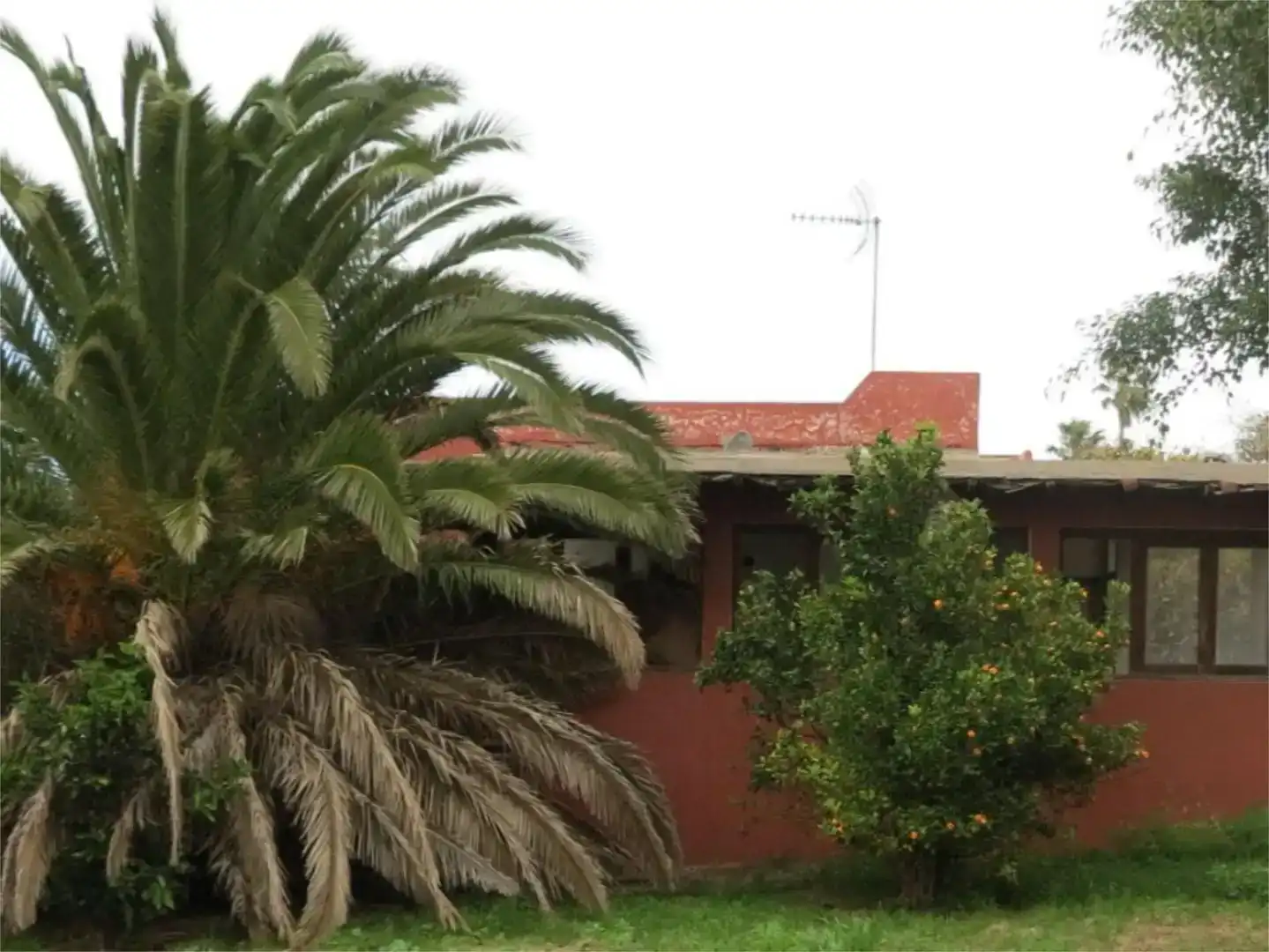 Vista exterior de Pis en venda en Tacoronte amb Jardí privat, Piscina i Balcó