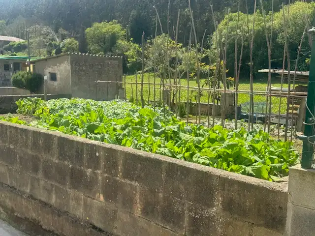 Casa a schiera con giardino in vendita a Glorieta Ferreira, imagen 73