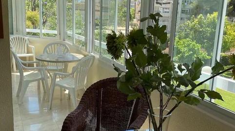 Photo 3 of Apartment to rent in Avenida de San Sebastián, Playa de San Juan, Alicante / Alacant