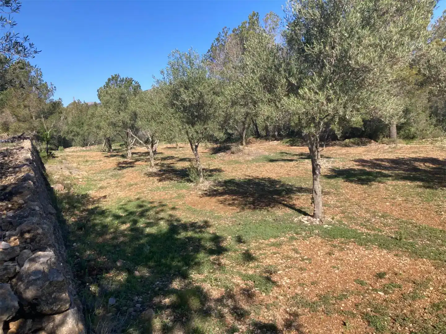Finca rústica en venda en L'Ampolla