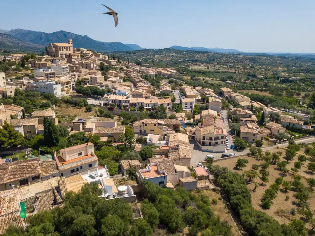 Maison rustique avec terrasse à vendre à Selva, imagen 24