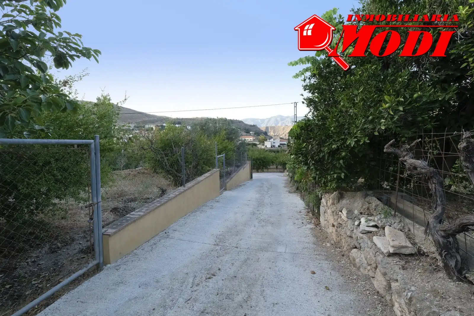 Vista exterior de Finca rústica en venta en Villamena con Jardín privado y Terraza