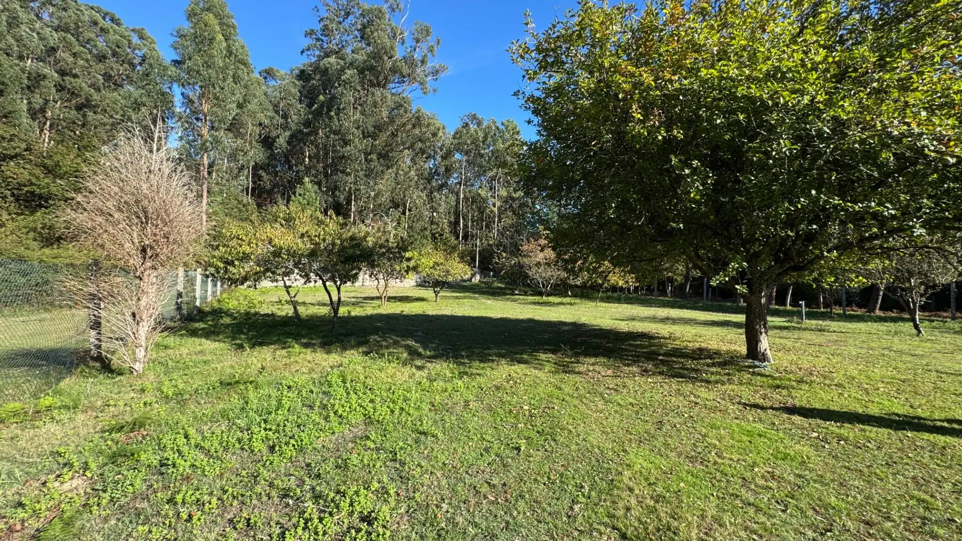 Casa con terraza en venta en Calle Calle Outeiro de Menduíña, imagen 51