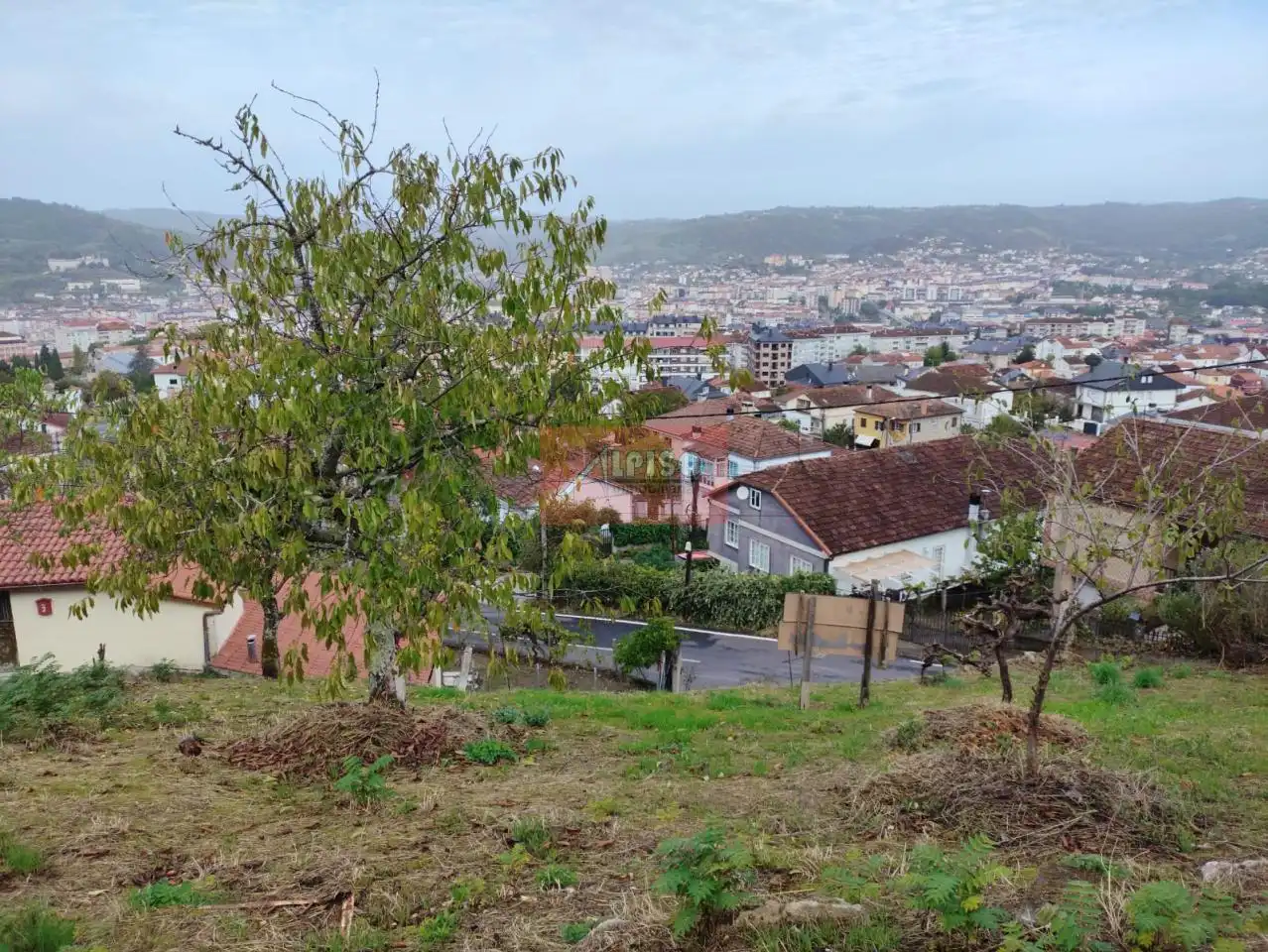 Exterior view of Houses for sale in Ourense Capital   with Private garden