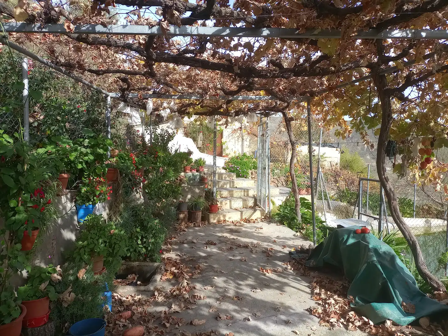Terreny rústic en venda a Alpujarra de la Sierra, imagen 18