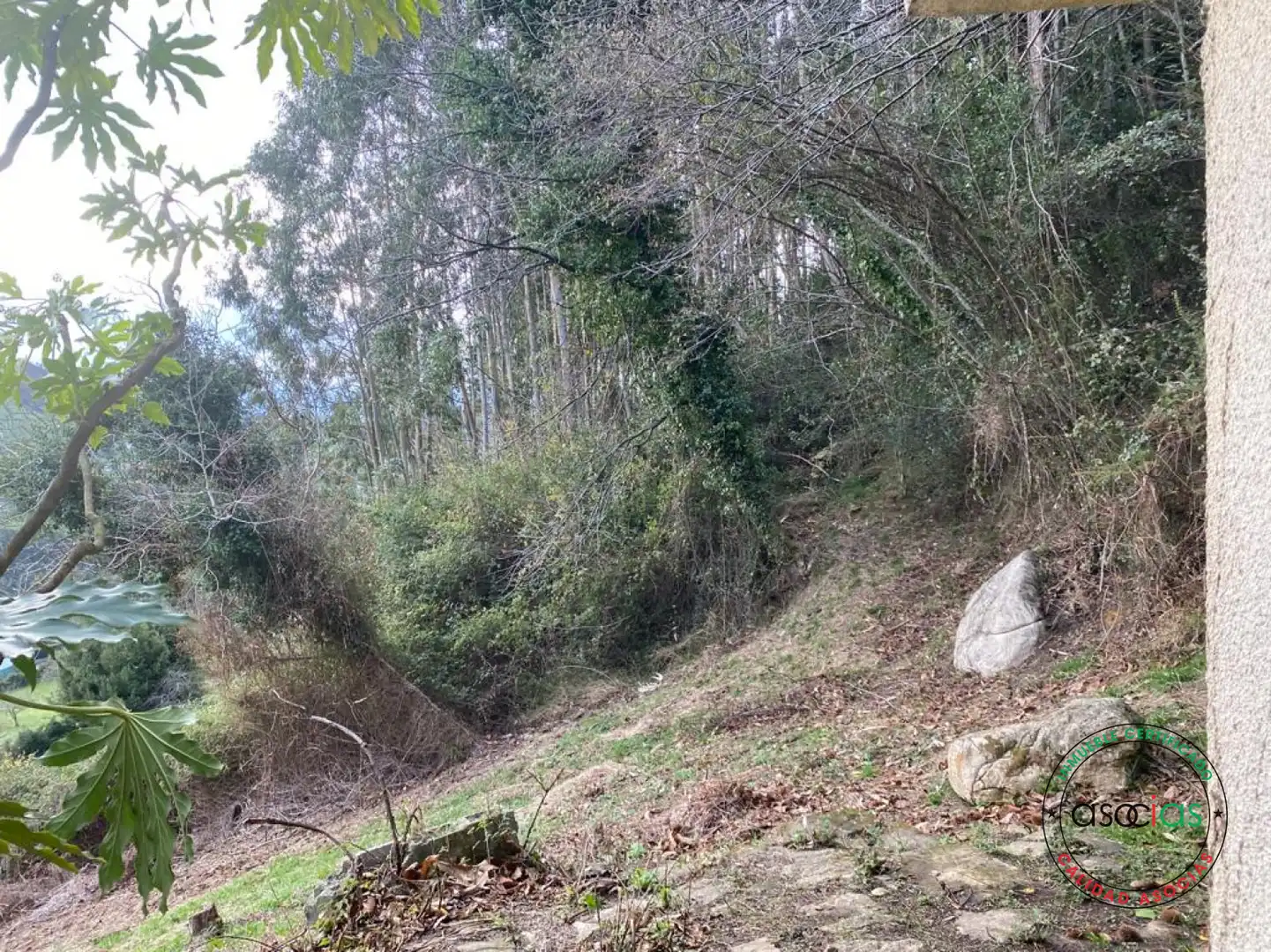 Terreno rustico in vendita a Gijón - BARRIO SAN PELAYO, imagen 5