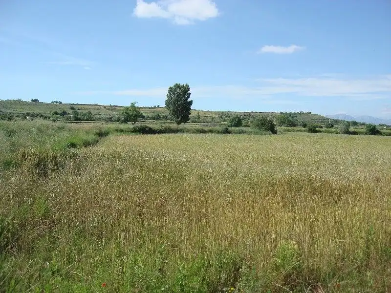 Terreny rústic en venda a Villamediana de Iregua, imagen 2